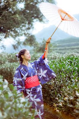 办公室荡乳欲伦交换BD电影,别墅里的轮换2获奖情况